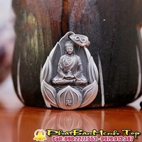Phật Bản Mệnh Tuổi Thân ( Phật Hộ Thân Phật Đại Nhật Như Lai )